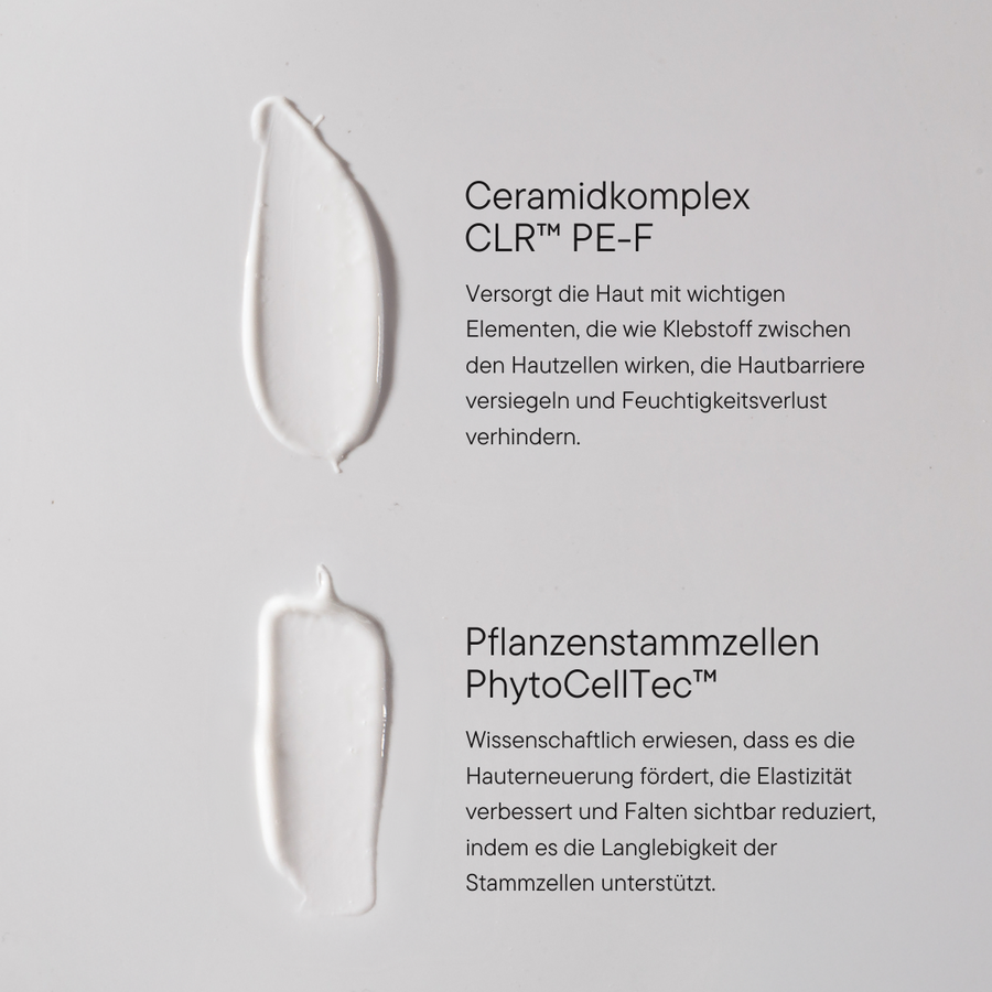 Die Routine für Normale bis Trockene Haut